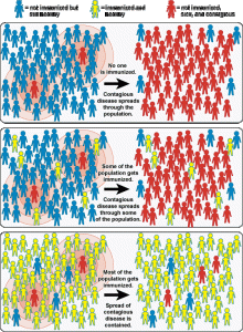 herd immunity picture thing